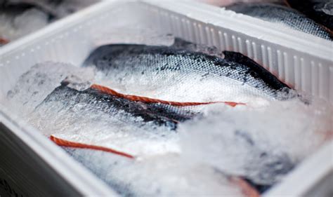 triplenine vip|TripleNine is a global supplier of fish meal and fish oil.